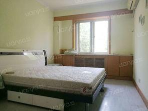 长虹桥91号租房,宜居繁华地段的温馨租房体验