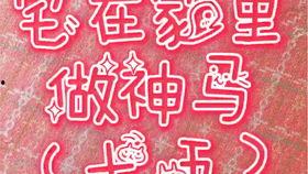 神马91宅宅,揭秘二次元世界的魅力与奥秘